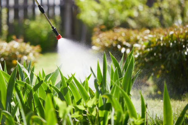 24/7 Emergency Mosquito Control experts in Cleveland, TN